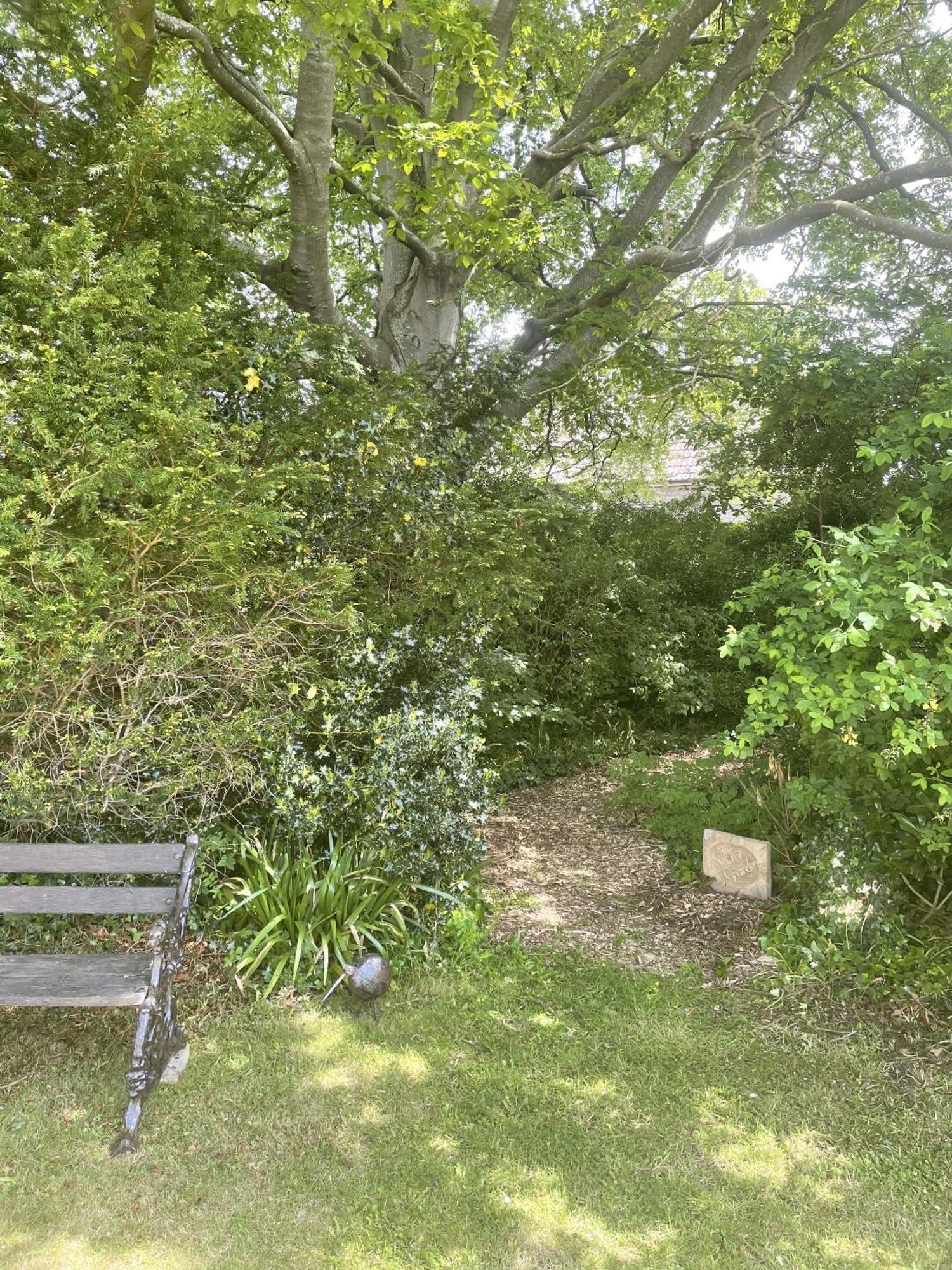 The Mount Somerton Retreat - Nr Bruton, Glastonbury, The Spectacular Wells Cathedral, Millfield School, Leonardo Helicopters, Yeovilton Luaran gambar