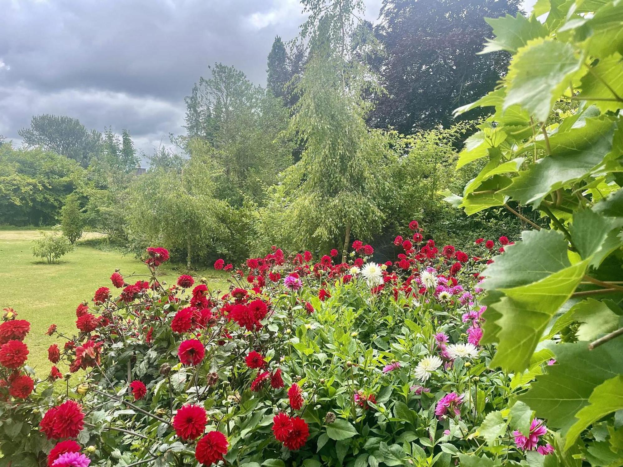 The Mount Somerton Retreat - Nr Bruton, Glastonbury, The Spectacular Wells Cathedral, Millfield School, Leonardo Helicopters, Yeovilton Luaran gambar